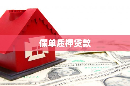 元谋保单质押贷款