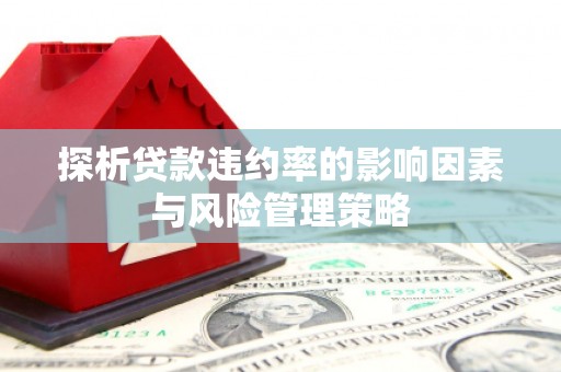 元谋探析贷款违约率的影响因素与风险管理策略