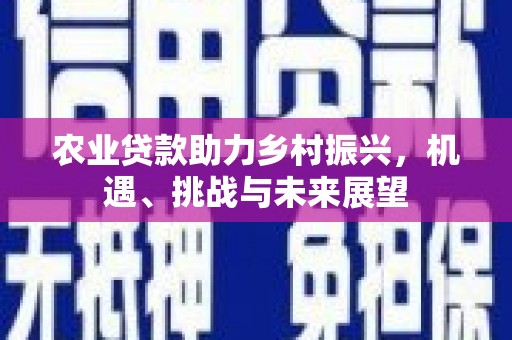 元谋农业贷款助力乡村振兴，机遇、挑战与未来展望