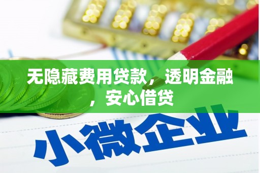 元谋无隐藏费用贷款，透明金融，安心借贷