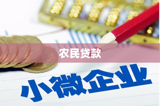 元谋农民贷款