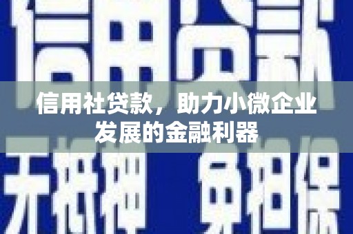 元谋信用社贷款，助力小微企业发展的金融利器