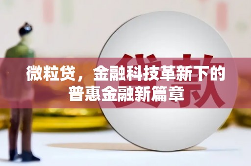 元谋微粒贷，金融科技革新下的普惠金融新篇章