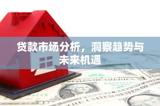 元谋贷款市场分析，洞察趋势与未来机遇