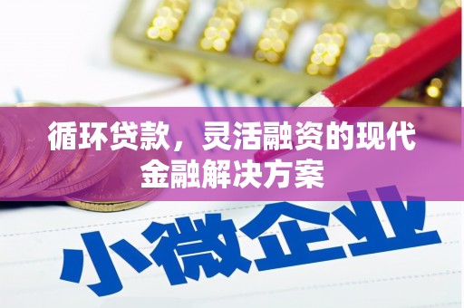 元谋循环贷款，灵活融资的现代金融解决方案