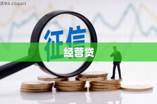 元谋经营贷