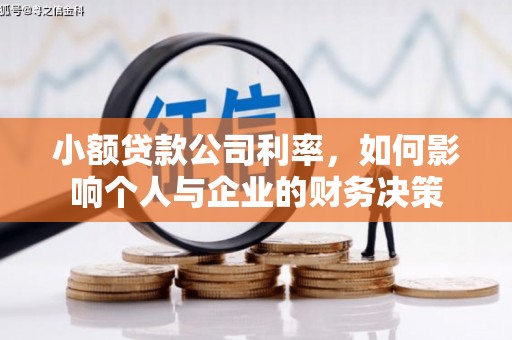 元谋小额贷款公司利率，如何影响个人与企业的财务决策