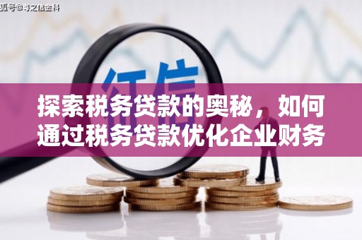 元谋探索税务贷款的奥秘，如何通过税务贷款优化企业财务