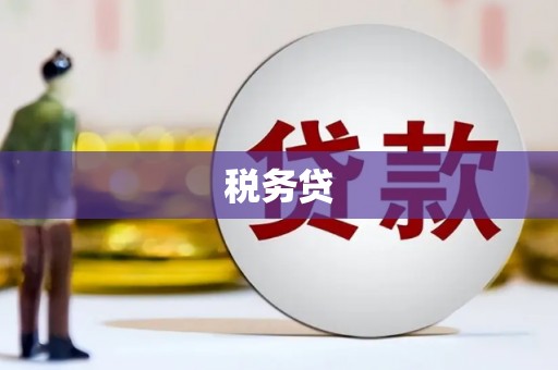 元谋税务贷