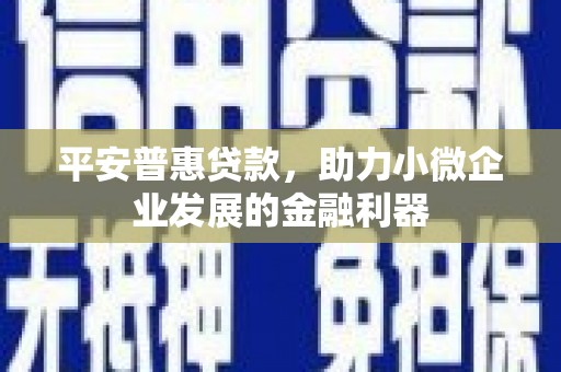 元谋平安普惠贷款，助力小微企业发展的金融利器