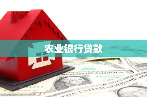 元谋农业银行贷款