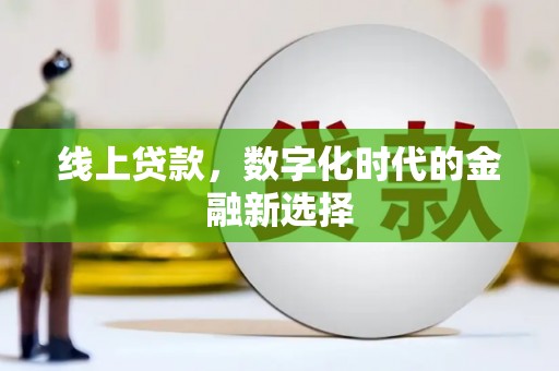 元谋线上贷款，数字化时代的金融新选择