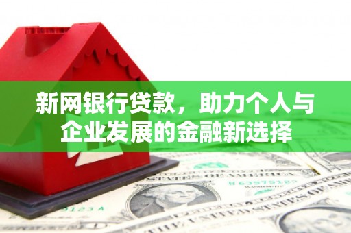 元谋新网银行贷款，助力个人与企业发展的金融新选择