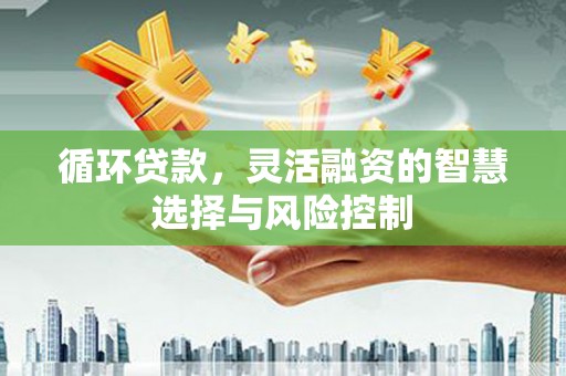 元谋循环贷款，灵活融资的智慧选择与风险控制