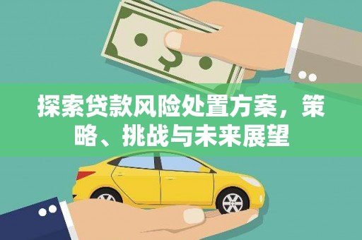 元谋探索贷款风险处置方案，策略、挑战与未来展望