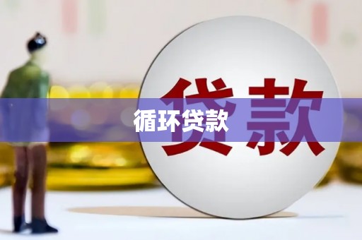 元谋循环贷款