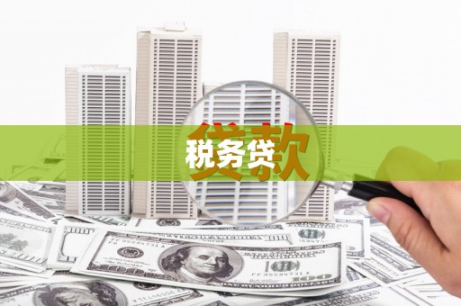 元谋税务贷