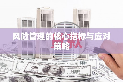 元谋风险管理的核心指标与应对策略