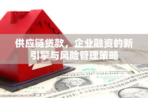 元谋供应链贷款，企业融资的新引擎与风险管理策略