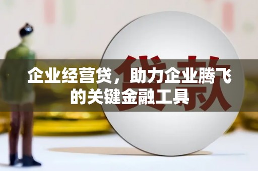 元谋企业经营贷，助力企业腾飞的关键金融工具