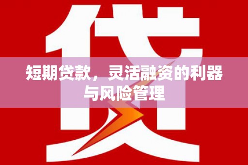 元谋短期贷款，灵活融资的利器与风险管理