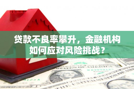 元谋贷款不良率攀升，金融机构如何应对风险挑战？