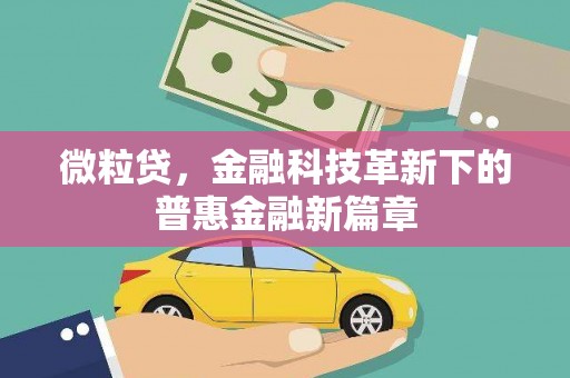 元谋微粒贷，金融科技革新下的普惠金融新篇章