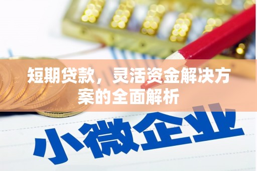 元谋短期贷款，灵活资金解决方案的全面解析