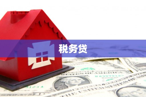 元谋税务贷