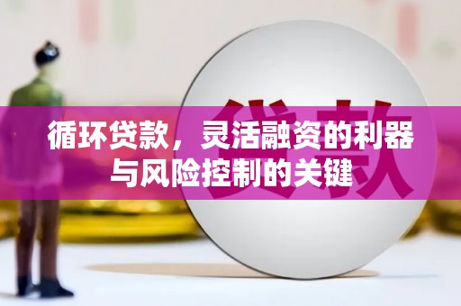 元谋循环贷款，灵活融资的利器与风险控制的关键