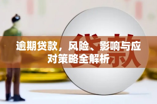 元谋逾期贷款，风险、影响与应对策略全解析