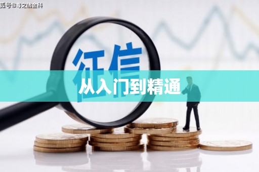 元谋从入门到精通