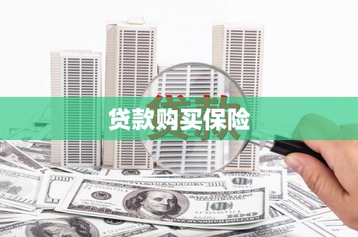 元谋贷款购买保险