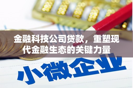 元谋金融科技公司贷款，重塑现代金融生态的关键力量