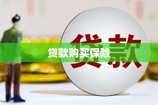 元谋贷款购买保险