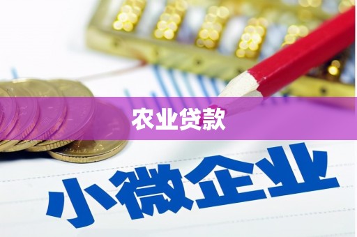 元谋农业贷款