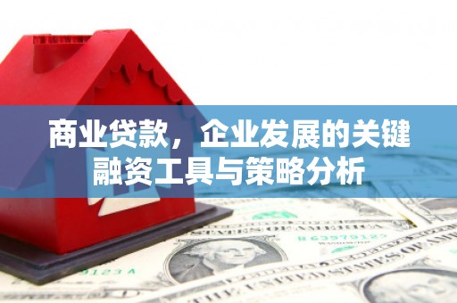 元谋商业贷款，企业发展的关键融资工具与策略分析