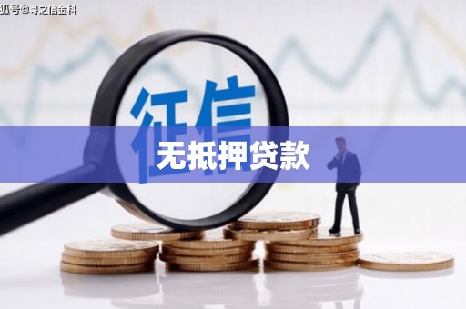 元谋无抵押贷款