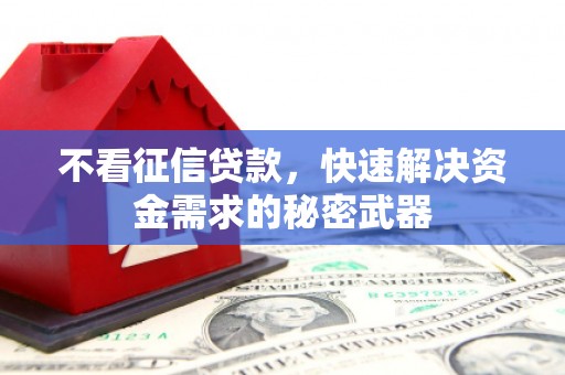 元谋不看征信贷款，快速解决资金需求的秘密武器
