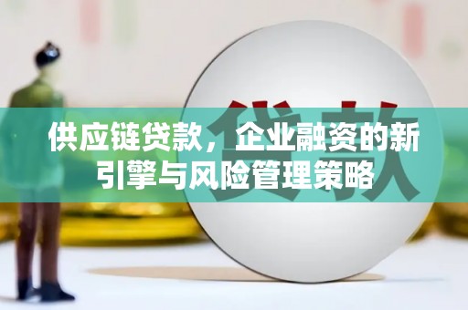 元谋供应链贷款，企业融资的新引擎与风险管理策略