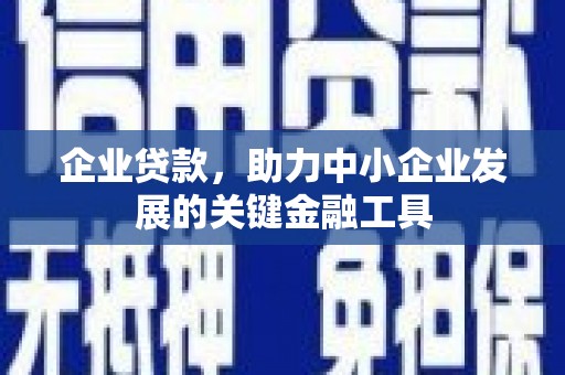 元谋企业贷款，助力中小企业发展的关键金融工具