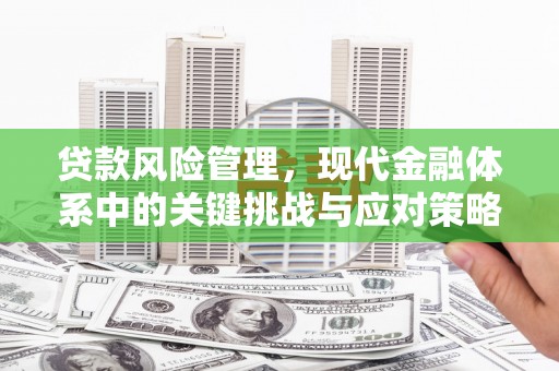 元谋贷款风险管理，现代金融体系中的关键挑战与应对策略