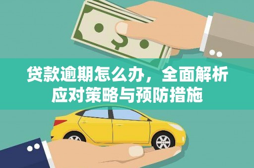元谋贷款逾期怎么办，全面解析应对策略与预防措施