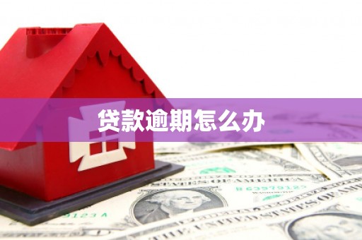 元谋贷款逾期怎么办