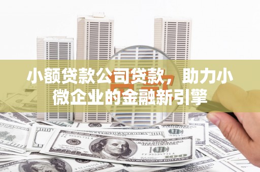 元谋小额贷款公司贷款，助力小微企业的金融新引擎
