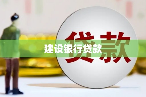 元谋建设银行贷款