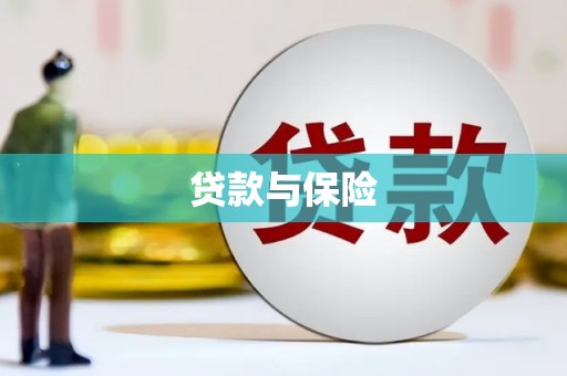 元谋贷款与保险