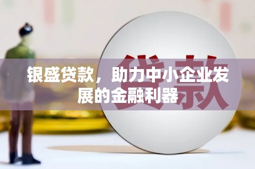 元谋银盛贷款，助力中小企业发展的金融利器