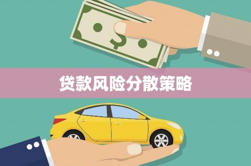 元谋贷款风险分散策略