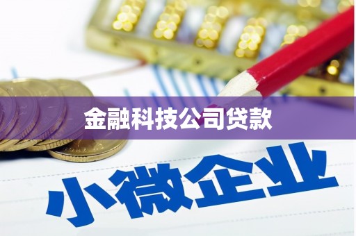 元谋金融科技公司贷款